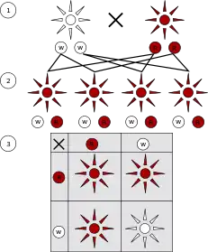 Première et deuxième lois :1 - Croisement de pois à fleurs rouges avec des pois à fleurs blanches (tous deux homozygotes pour ce trait, WW et RR).2 - Génération F1 : tous les individus sont rouges car l'allèle rouge est dominant et le blanc est récessif). Alors que les parents étaient tous deux homozygotes (respectivement WW et RR), toute la F1 est hétérozygote (RW).3 - Génération F2 : les formes rouges et blanches montrent un rapport de 3:1.