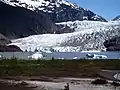 Le champ de glace.