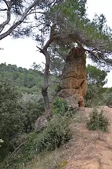 Menhir de Vacqueyras