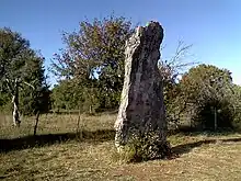 Photo du menhir de Bélinac