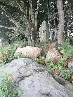 Image illustrative de l’article Menhir de Guernangoué