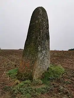 Grand menhir de Kerligan