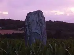 Le menhir de Callac (en Saint-Gilles-Vieux-Marché).