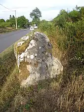 Le menhir près du château d'eau de Bodérin.