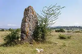 Le menhir du Fraïsse, Mas-Saint-Chély.