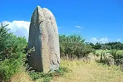 Le menhir de Kermaillard.