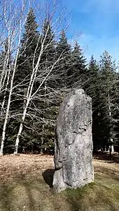 Menhir de Menat, également appelé "Grosse Pierre du Bois des Brosses".