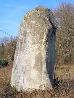 Menhir de Capdoubos, dit de Peyrelounque.