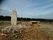 Menhir de Roque Blanque