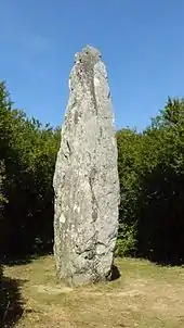 Le menhir nommé "Salver ar Bed" ("Sauveur du monde") situé au lieu-dit de Mez er Groez.