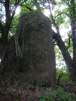 Image illustrative de l’article Menhir de Bodquelen