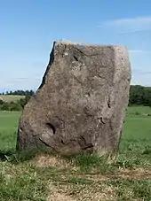 Menhir de Freydefond