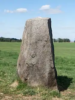 Image illustrative de l’article Menhir de Freydefond