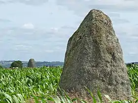 Menhir de Kernanouët