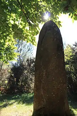 Image illustrative de l’article Menhir de Kerara