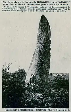 Image illustrative de l’article Menhir de Kergleuhant