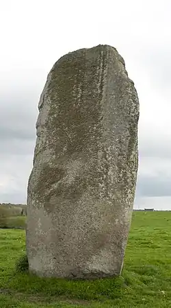 Menhir de Kerguézennec.