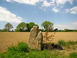 Image illustrative de l’article Menhir de Keroland