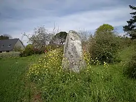 Menhir de Kervéniou.