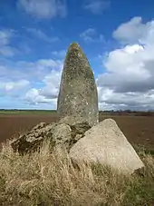 Menhir de Kervignen-Bras