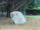 Menhir de Liorh Larzonnic