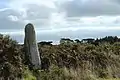 Menhir de Luguenez, vue d'ensemble.