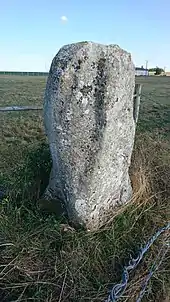 Menhir de Mécrin