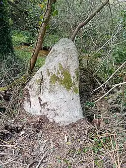 Image illustrative de l’article Menhir de Men-Bras-de-Kermar-Ker B