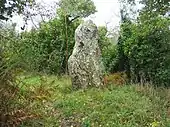 Menhir de Men-en-Palud