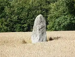 Menhir de Pasquiou