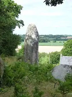 Menhir de Porzic