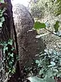 Menhir de Quélarn, vue de derrière l'arbre à son pied