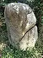 Menhir de Quélarn, vue d'un autre côté