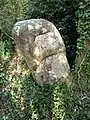 Menhir de Quélarn, autre vue