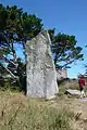 Le menhir du Reun (dit aussi de Squividan)