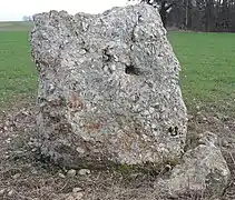 Le menhir et un mégalithe partiellement enterré à l'arrière plan à gauche.