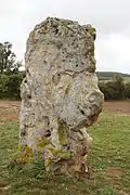 Le menhir vu du champ.