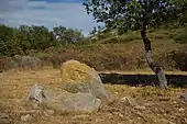 Menhir de la Pierre Plantée