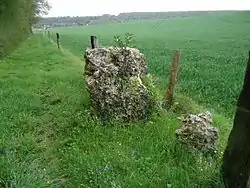 Image illustrative de l’article Menhir de la Pierre Saint-Martin (Fleury-sur-Andelle)