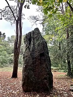 Image illustrative de l’article Menhir de la Pierre Attelée