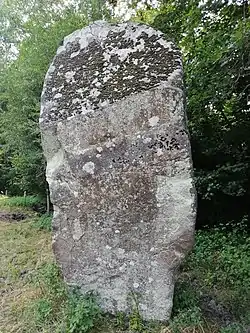 Image illustrative de l’article Menhir de la Roche