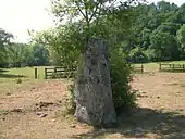 Le menhir de la Rousselière.