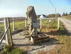 Menhir de la Pierre aux Bœufs.