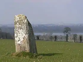 Menhir de la Roche au Diable à Sougéal (Ille-et-Vilaine).