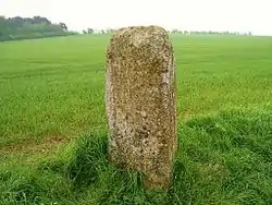 Image illustrative de l’article Menhir des Planches