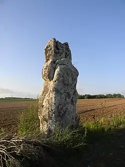 Menhir dit La Pierre Clouée de Nanteau-sur-Lunain.