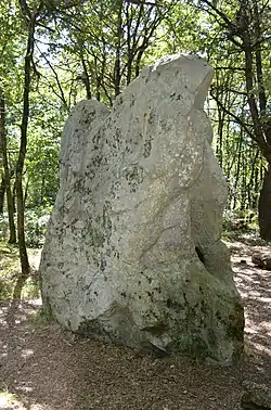 Menhir dit de Pierre-Levée.