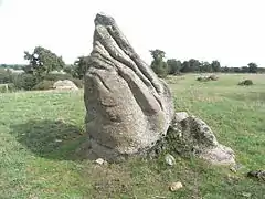 Menhir dit la pierre levée de Charbonneau.