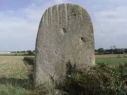 Menhir dit la pierre levée de la Bretaudière.