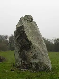 Image illustrative de l’article Menhir du Boivre